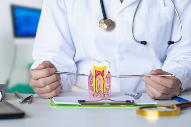 Best Emergency Cosmetic Dentistry in Englewood, NJ
